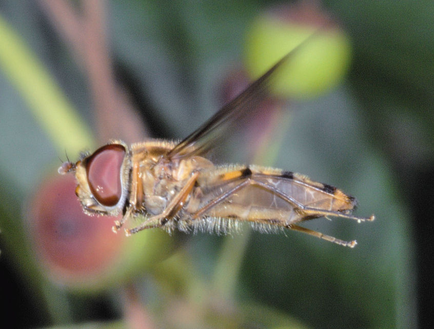 Queste vi consiglio proprio di guardarle!